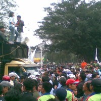 Usir Anggota Dewan, Kucing Garong dan SMS untuk Wakil Rakyat